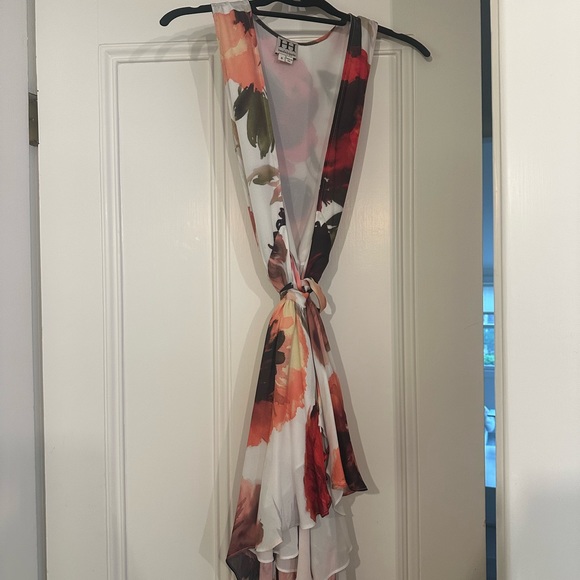 Haute Hippie silk floral print dress - Picture 10 of 13